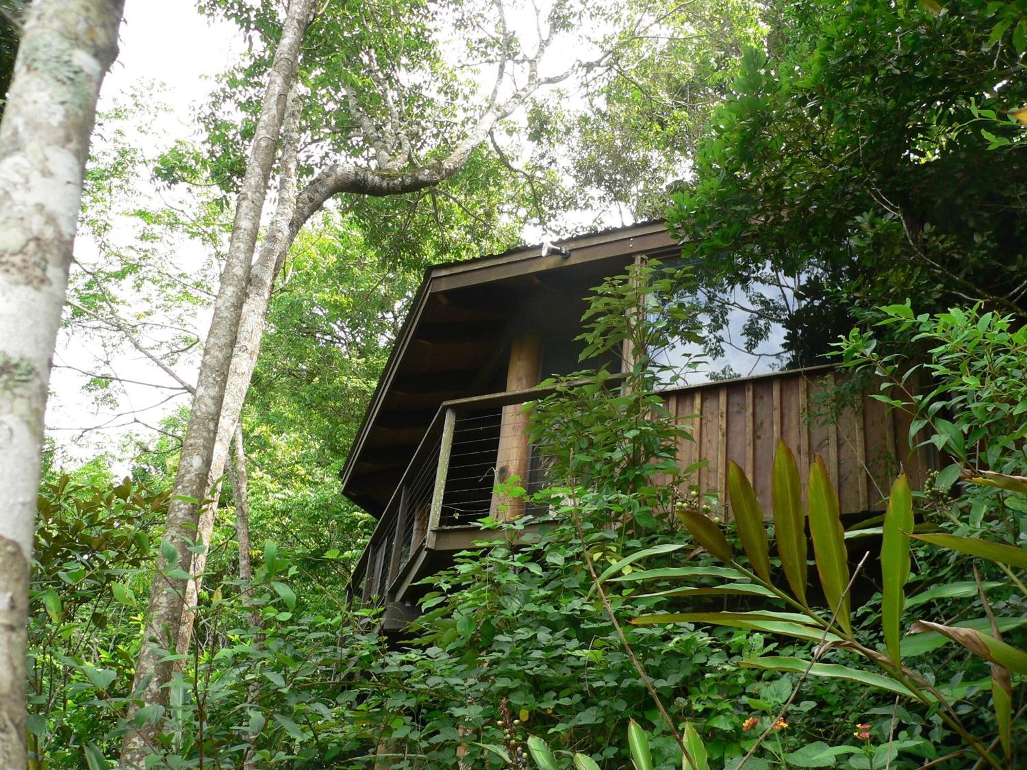 Mt Quincan Crater Retreat ยังกาเบอร์รา ภายนอก รูปภาพ